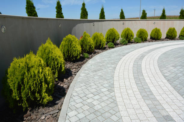Driveway Repair Near Me in Richmond, TX